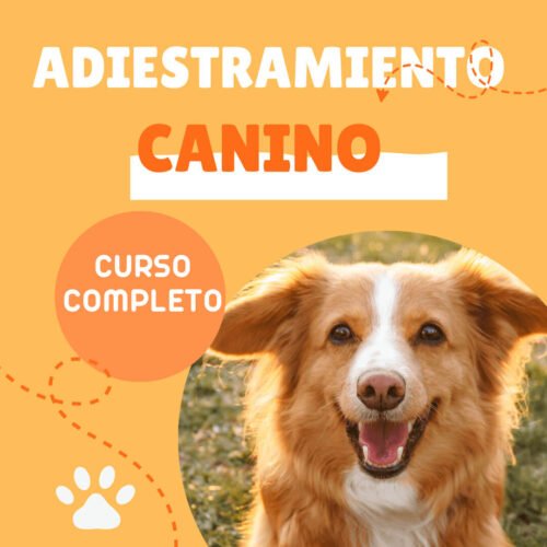 Adiestramiento Canino Curso Adiestramiento Canino