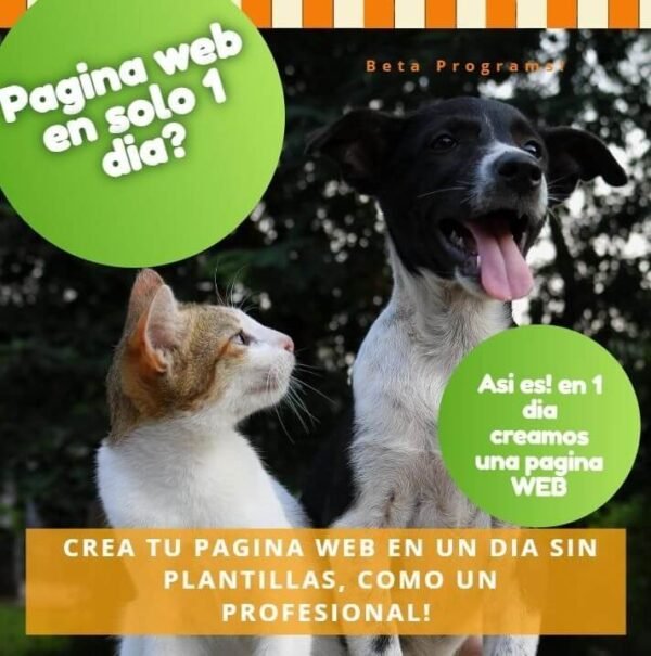 Curso Crea Tu Pagina WEB En 1 Dia