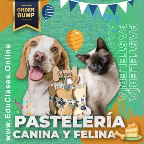 Curso Pastelería Canina y Felina.