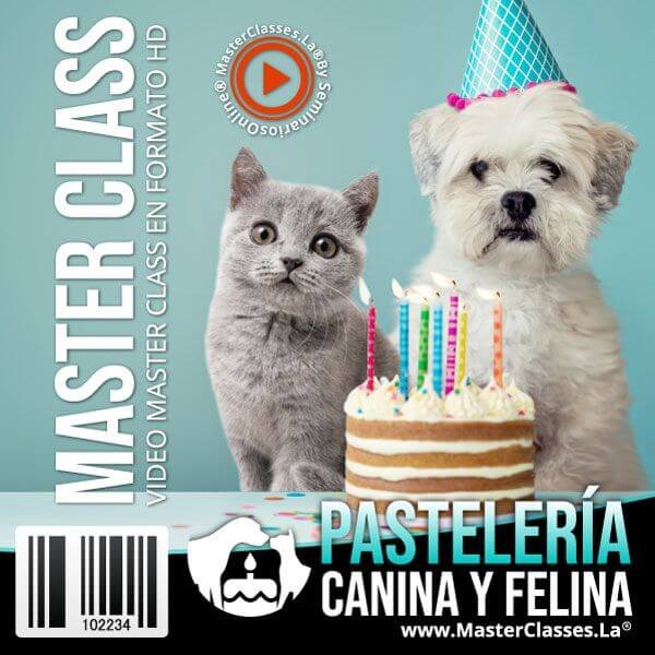 Curso Pastelería Canina y Felina