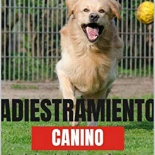 Adiestramiento Canino Adiestramiento Canino