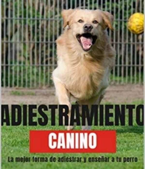 Adiestramiento Canino