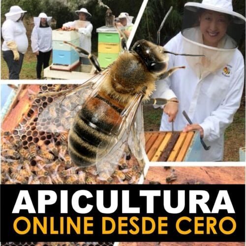 Apicultura Online Desde Cero Apicultura Online Desde Cero