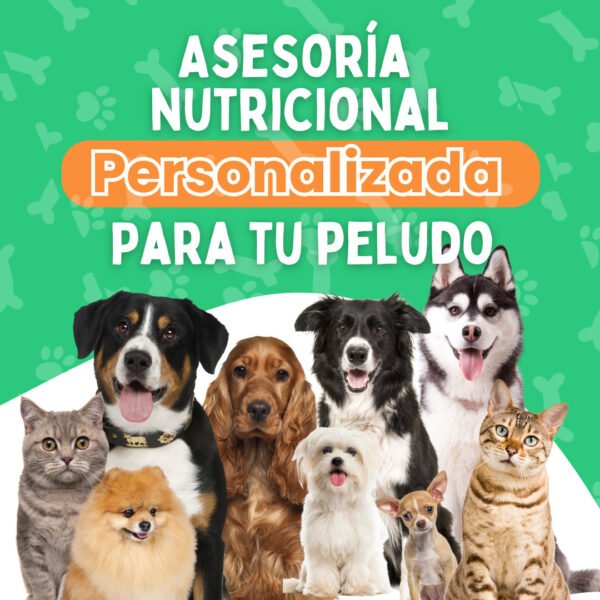 Asesorías Nutricionales Personalizadas