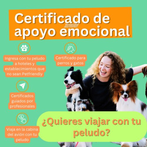 Certificado Apoyo Emocional Para Perros Y Gatos Certificado Apoyo Emocional Para Perros Y Gatos