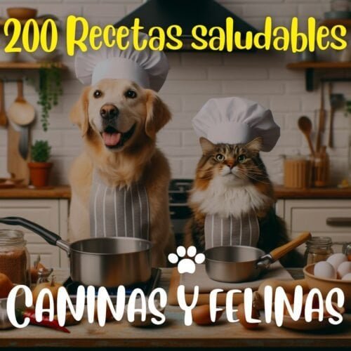 Comida Saludable Canina Y Felina Comida Saludable Canina Y Felina