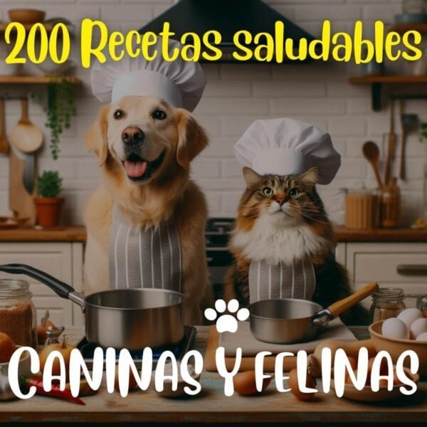Comida Saludable Canina Y Felina