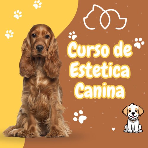 Estética Canina